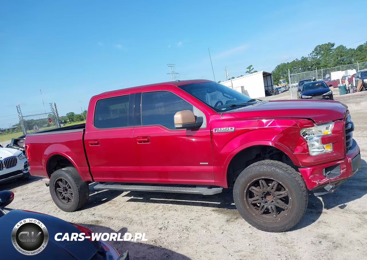 2015 Ford F-150 Xlt VIN:1FTEW1CPXFKE79978 - 13