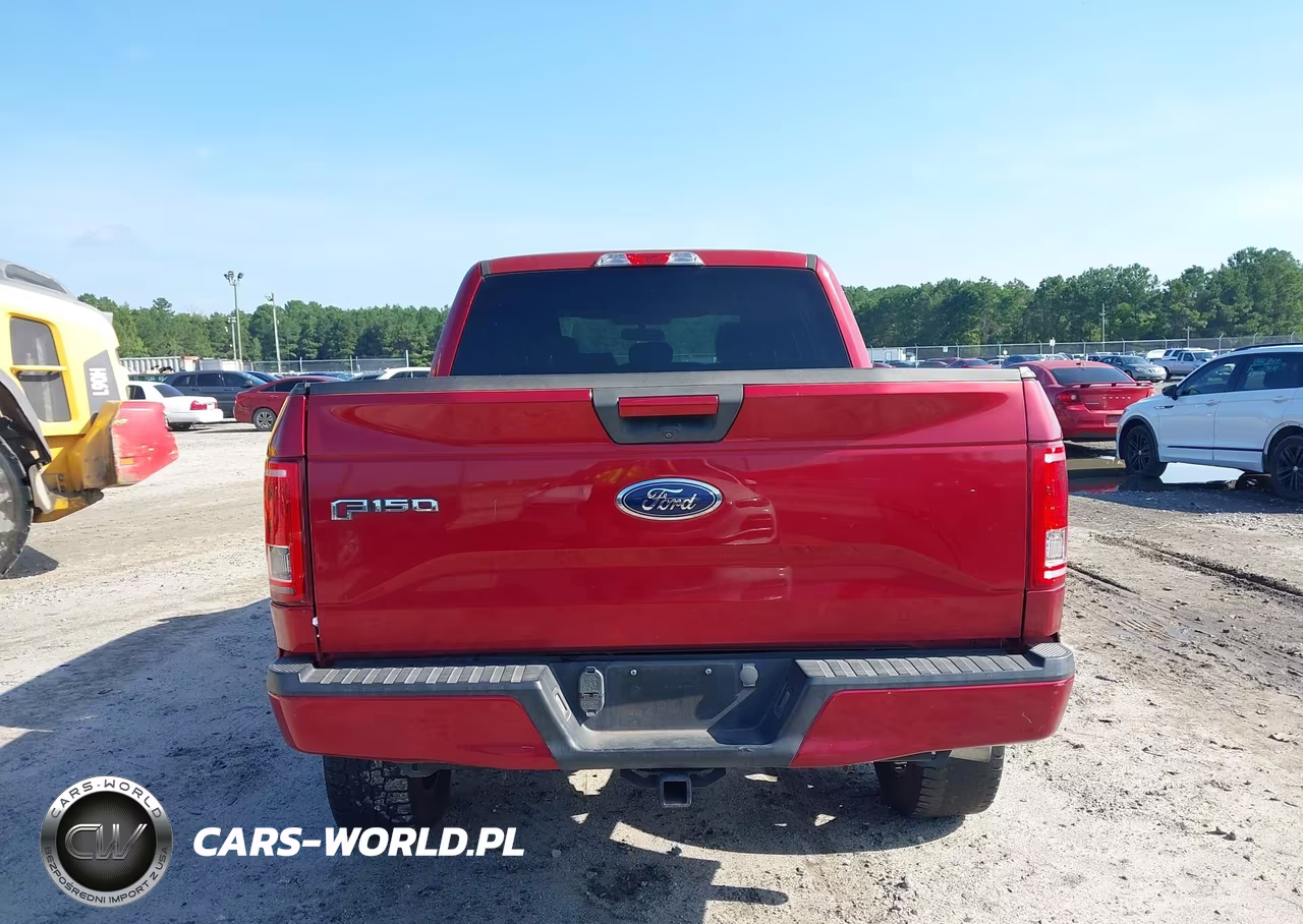2015 Ford F-150 Xlt VIN:1FTEW1CPXFKE79978 - 16