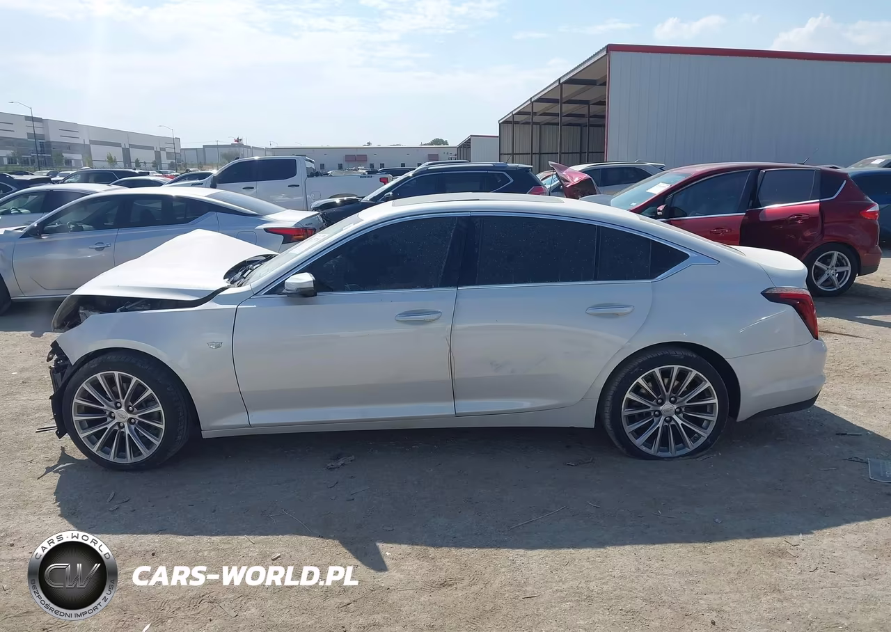 2021 Cadillac Ct5 Premium Luxury VIN:1G6DN5RW7M0115906 - 13