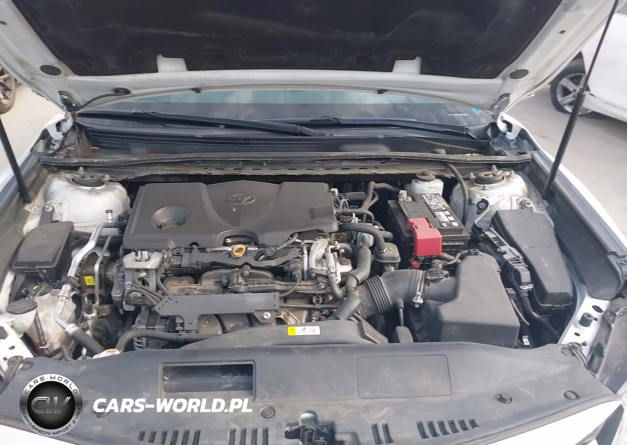 2019 Toyota Camry Xle VIN:4T1B11HK9KU755155 - 10