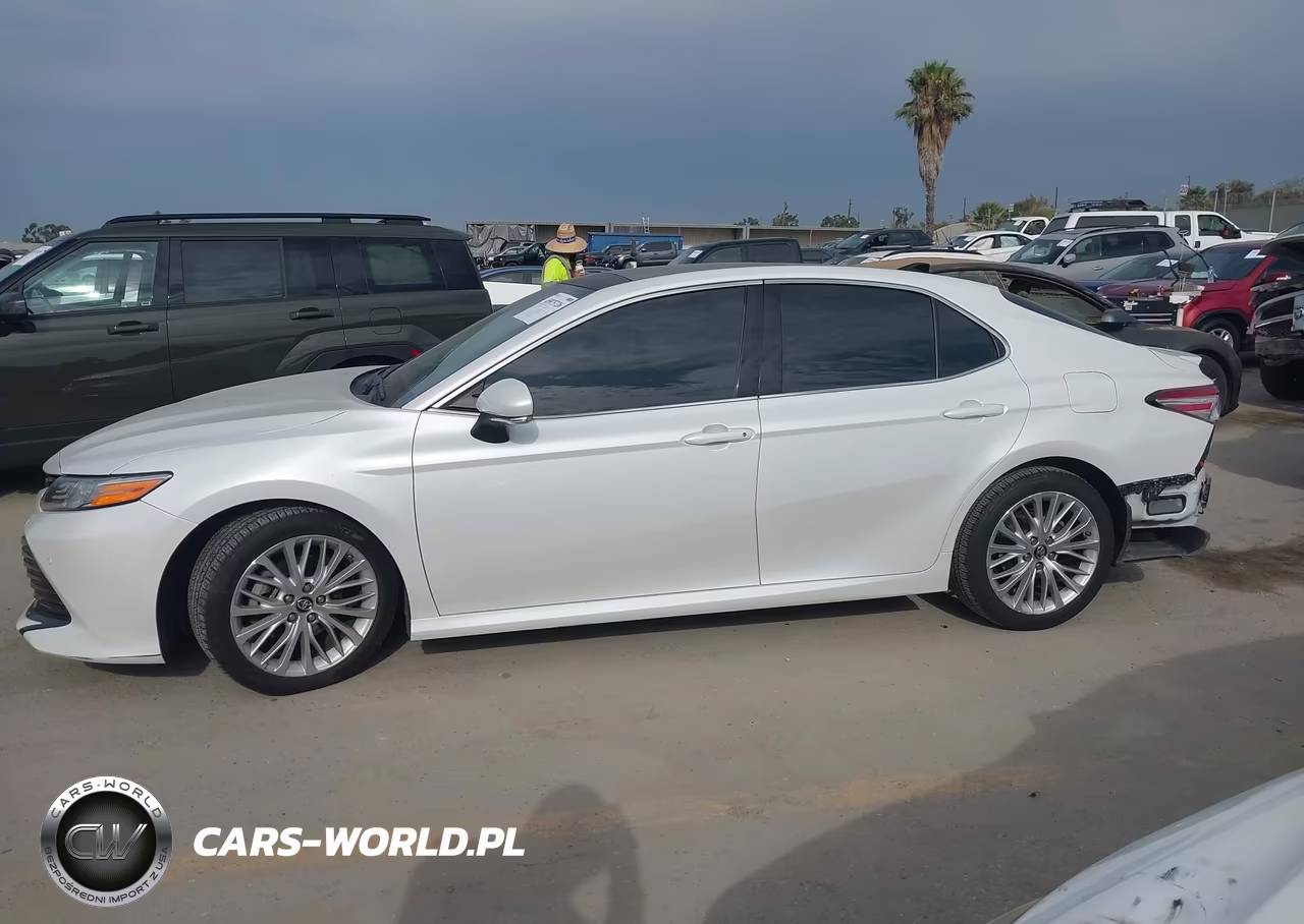 2019 Toyota Camry Xle VIN:4T1B11HK9KU755155 - 15