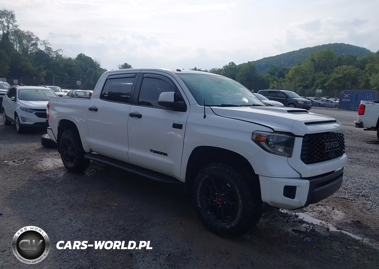 2019 Toyota Tundra Trd Pro 5.7L V8