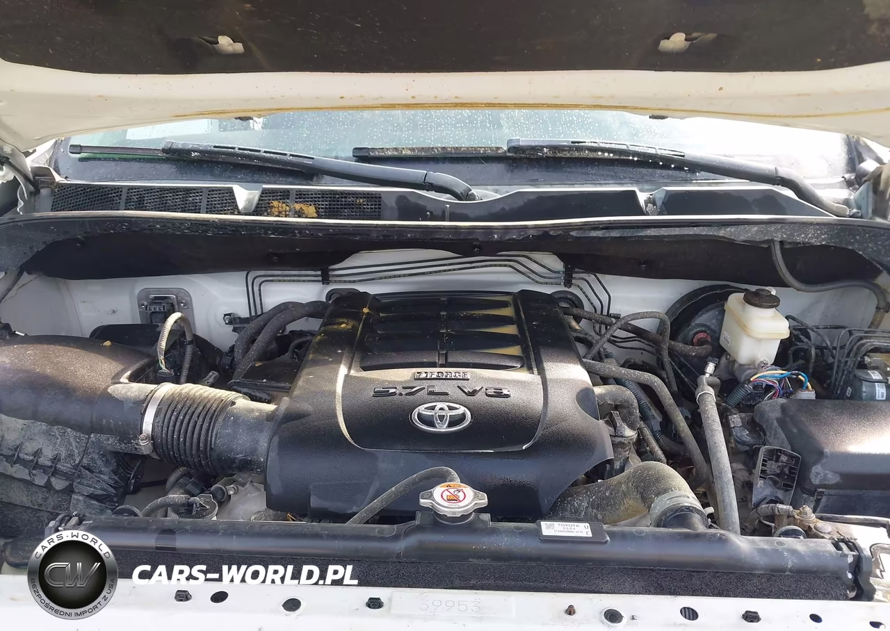 2019 Toyota Tundra Trd Pro 5.7L V8 VIN:5TFDY5F18KX854199 - 10
