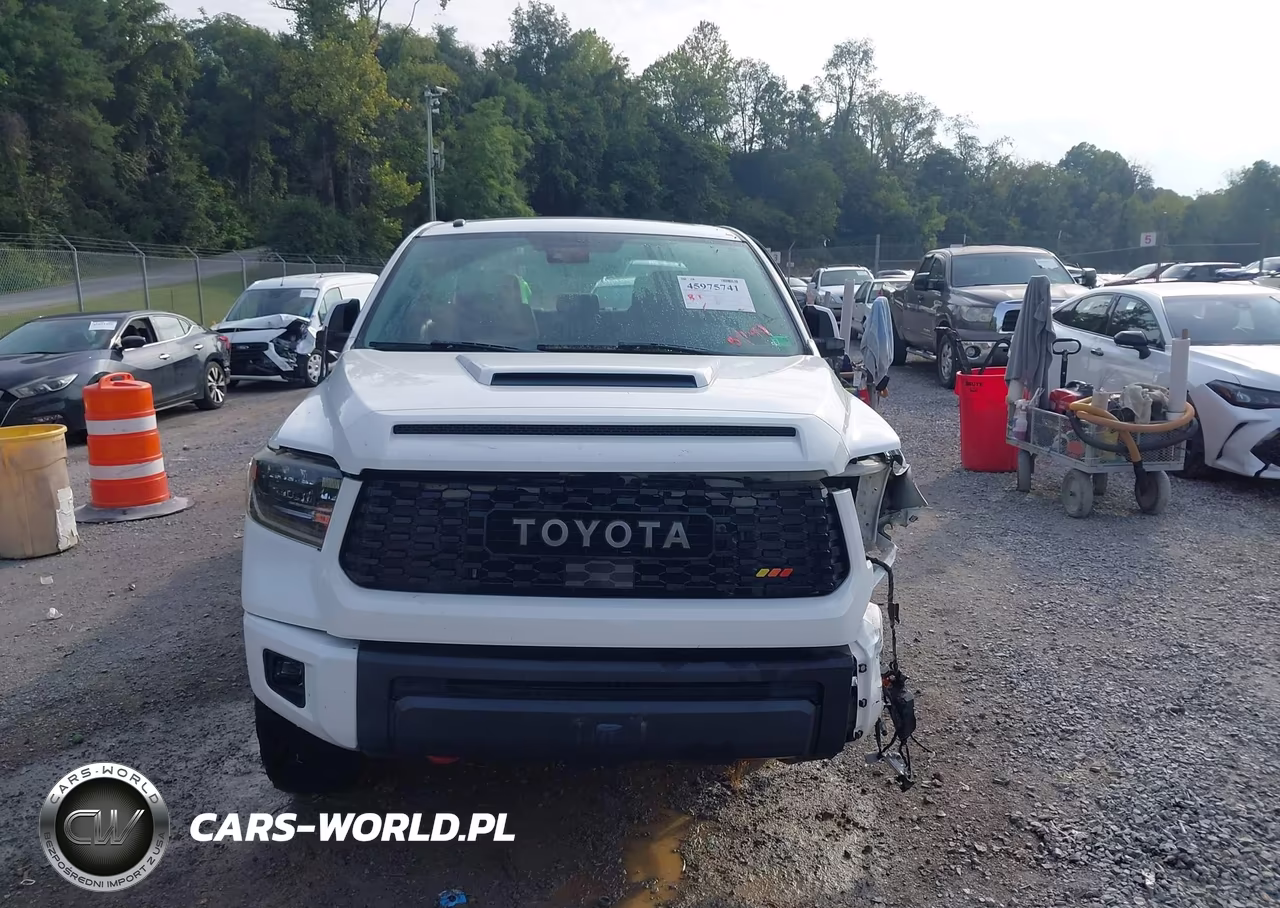 2019 Toyota Tundra Trd Pro 5.7L V8 VIN:5TFDY5F18KX854199 - 13