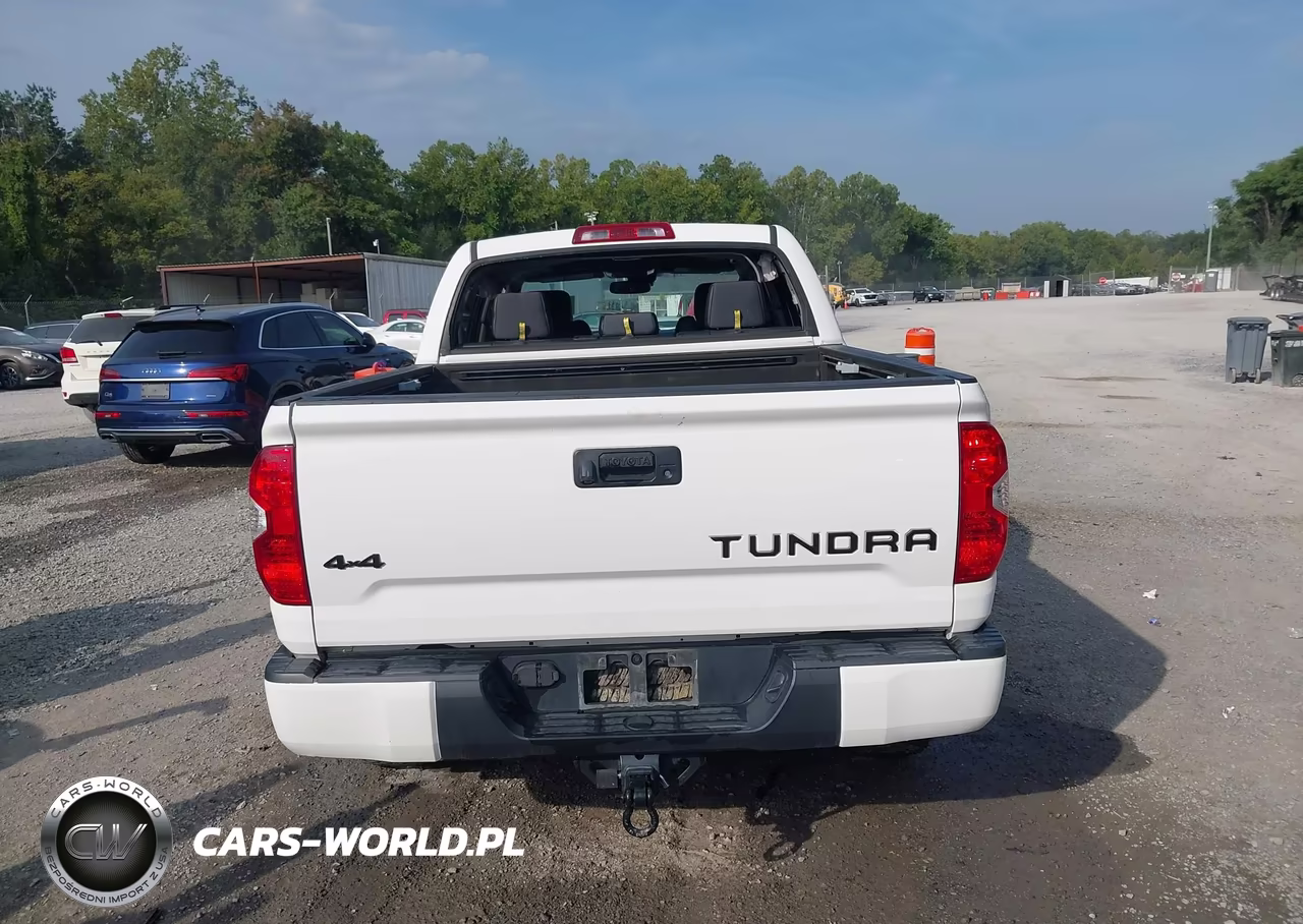 2019 Toyota Tundra Trd Pro 5.7L V8 VIN:5TFDY5F18KX854199 - 17