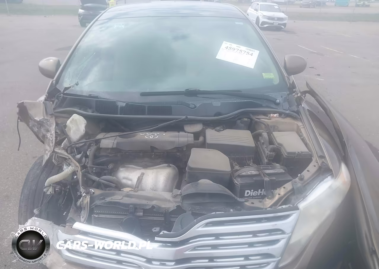 2009 Toyota Venza VIN:4T3ZE11A49U007502 - 10
