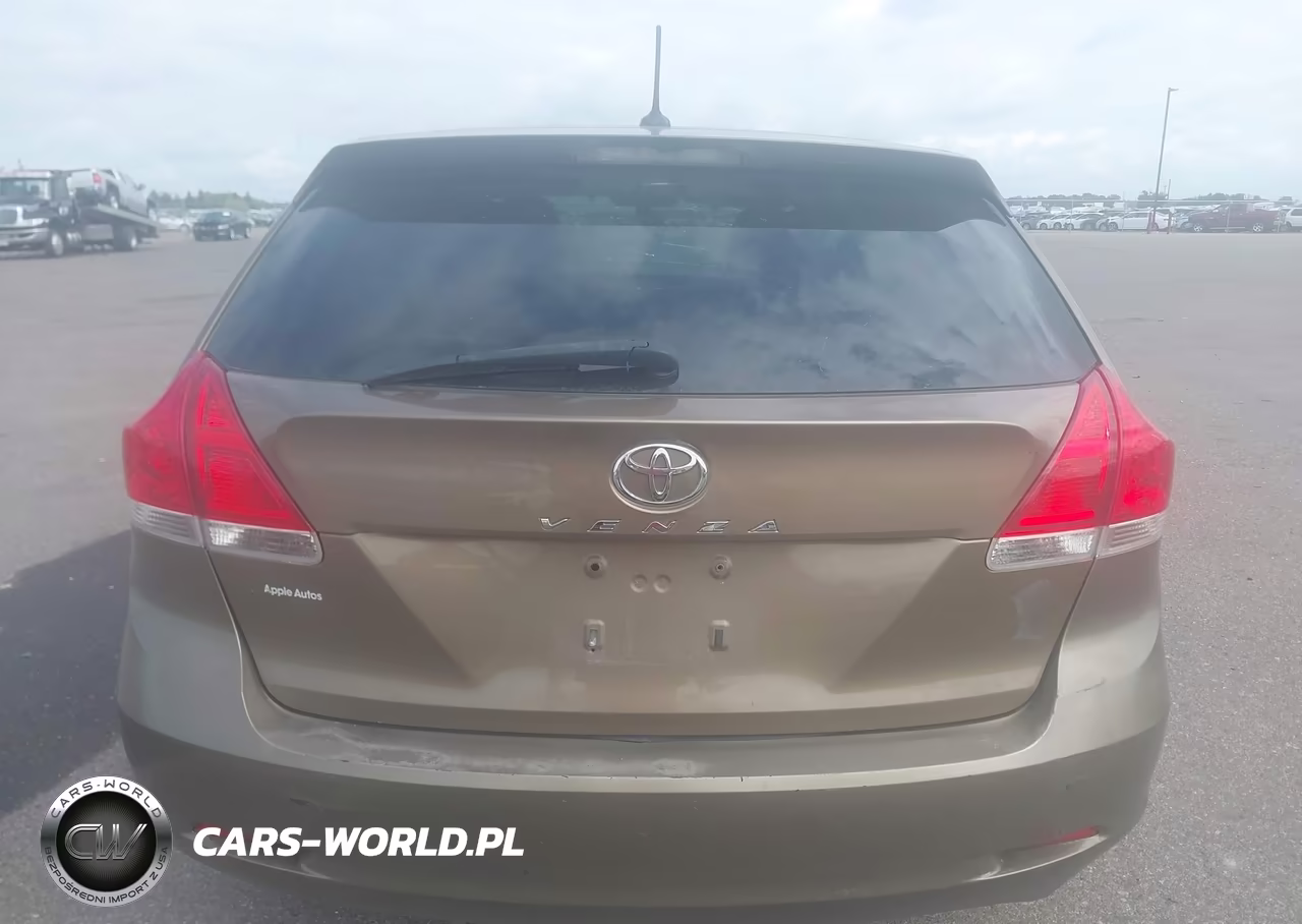 2009 Toyota Venza VIN:4T3ZE11A49U007502 - 17