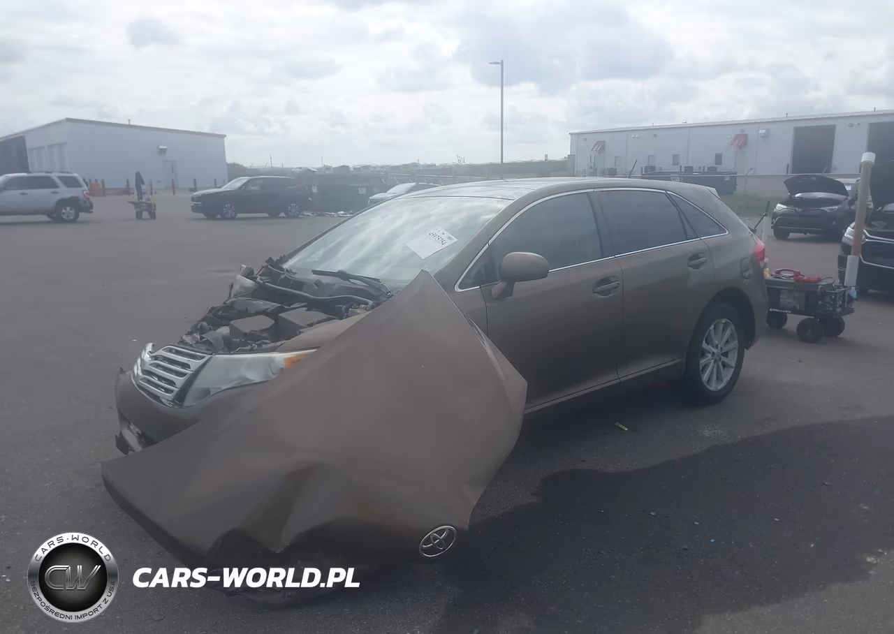 2009 Toyota Venza VIN:4T3ZE11A49U007502 - 2