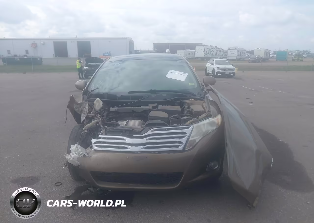 2009 Toyota Venza VIN:4T3ZE11A49U007502 - 6