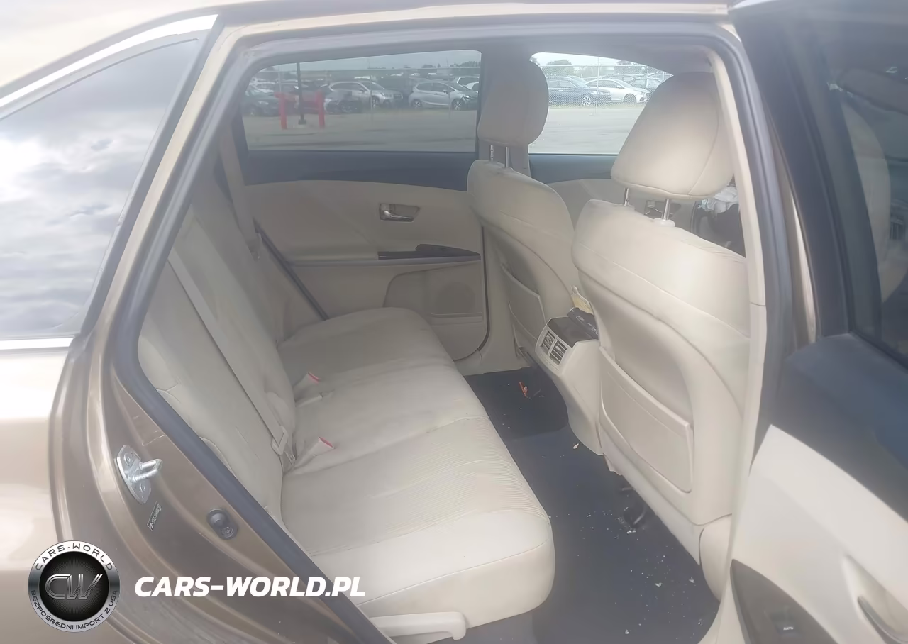 2009 Toyota Venza VIN:4T3ZE11A49U007502 - 8