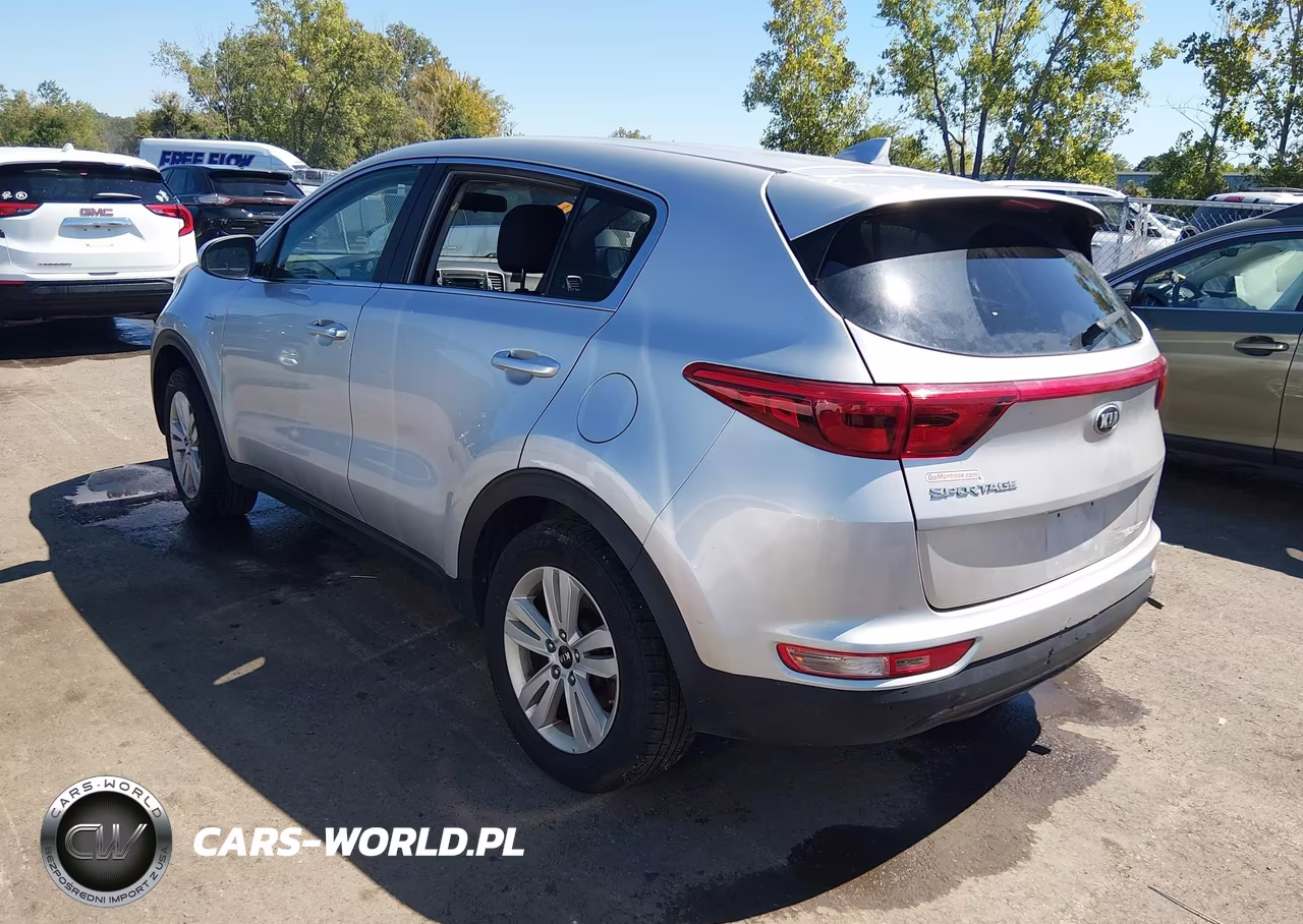 2019 Kia Sportage Lx VIN:KNDPMCAC0K7557451 - 3