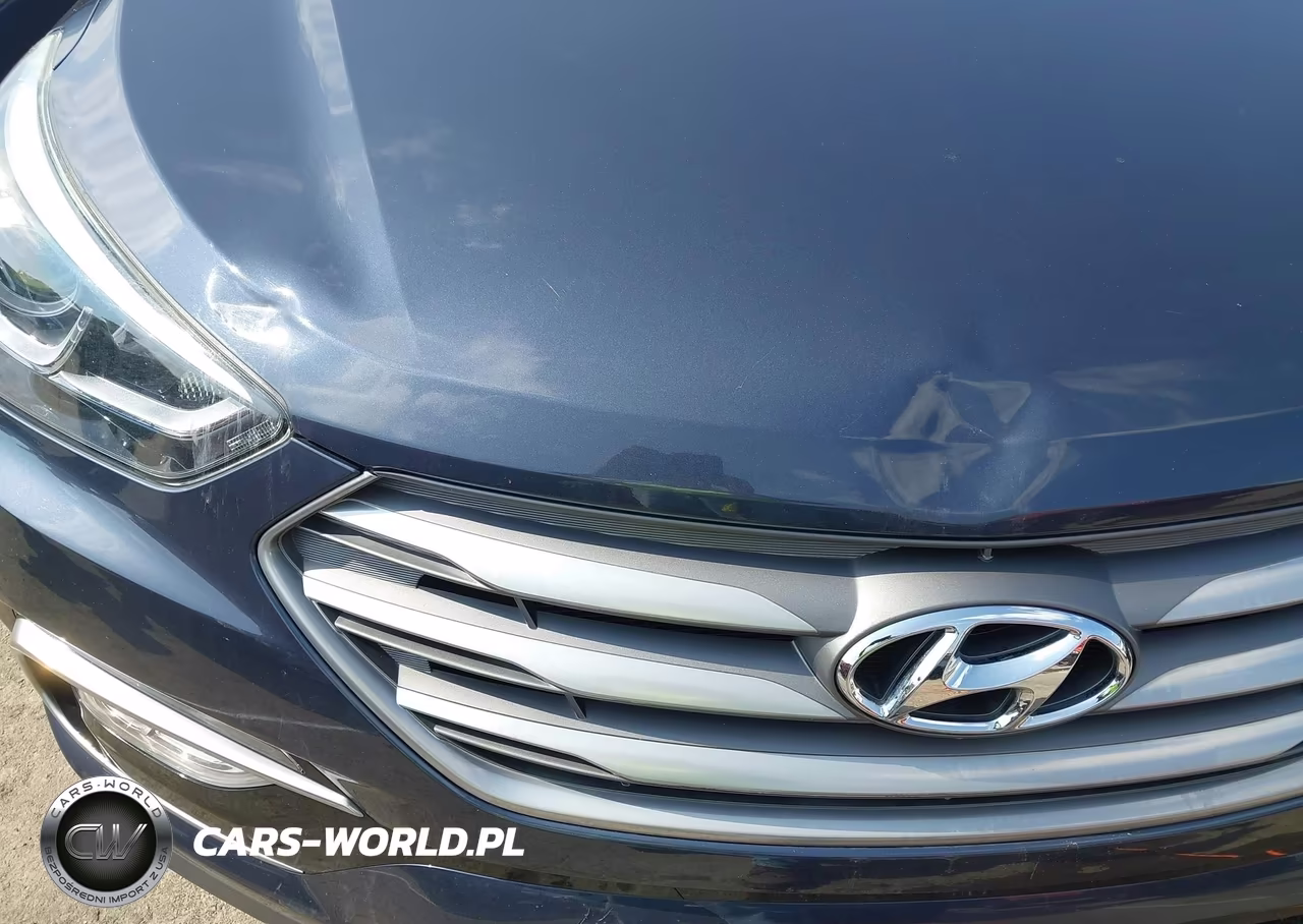 2017 Hyundai Santa Fe Sport 2.4L VIN:5NMZU3LB9HH010726 - 6
