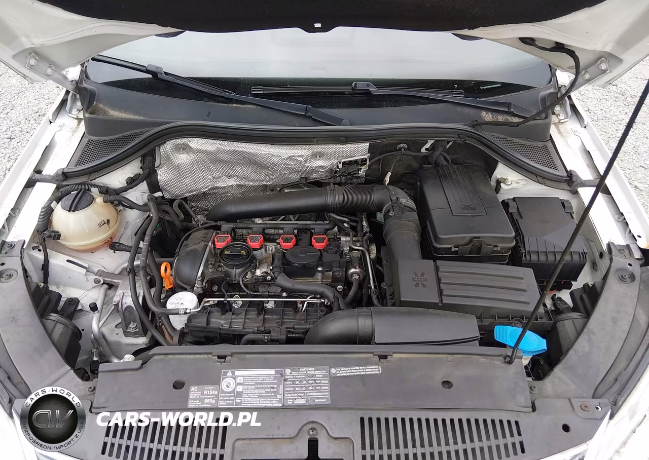 2009 Volkswagen Tiguan Se-Sel VIN:WVGBV75N09W005065 - 10