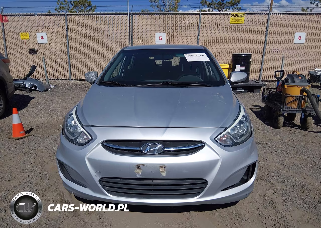 2015 Hyundai Accent Gs VIN:KMHCT5AE8FU206496 - 12