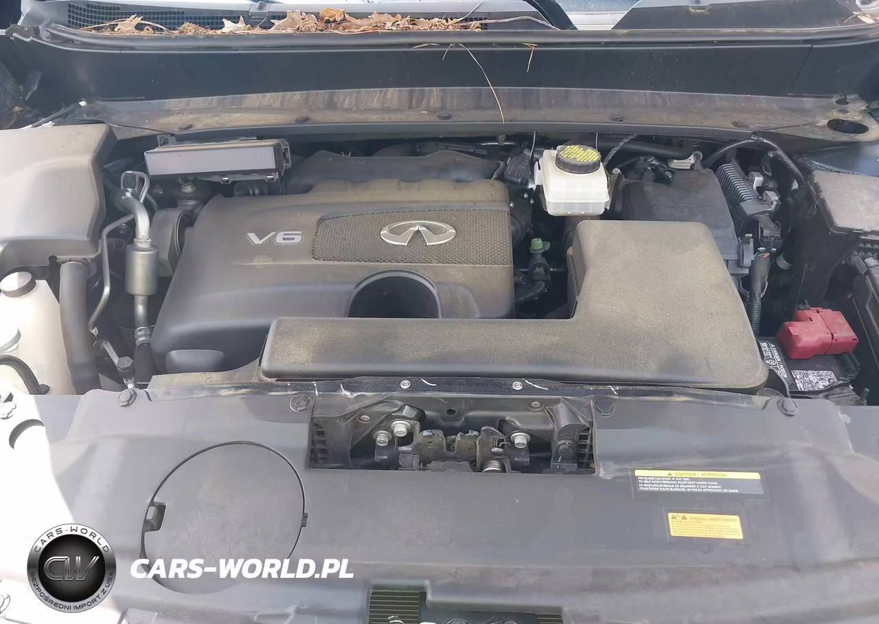 2019 Infiniti Qx60 Luxe VIN:5N1DL0MM9KC507692 - 10
