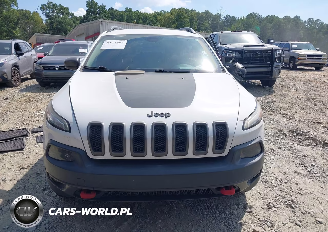 2016 Jeep Cherokee Trailhawk VIN:1C4PJMBS1GW251845 - 12