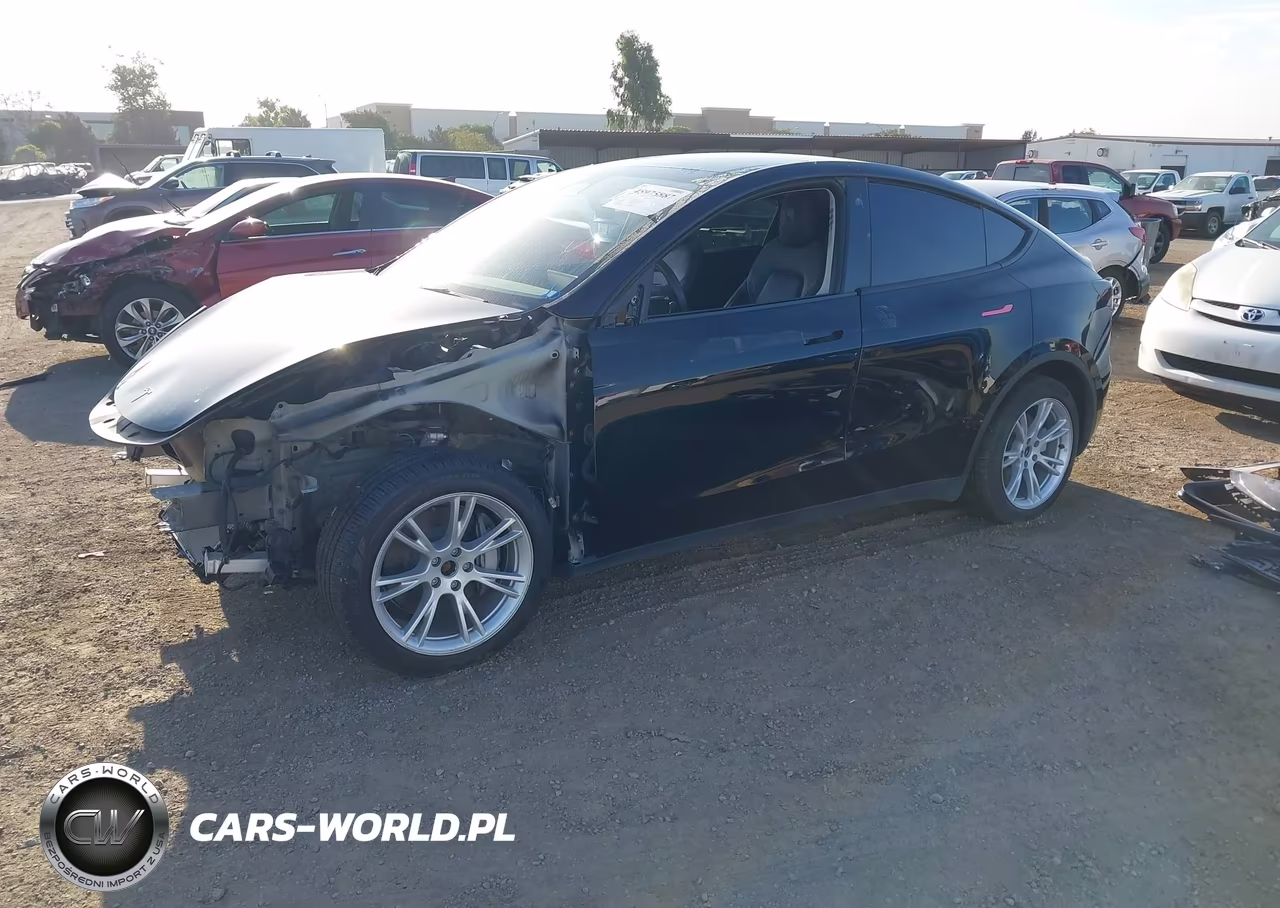2022 Tesla Model Y VIN:7SAYGDEE9NF537567 - 2