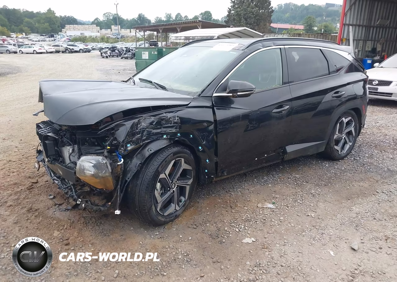 2024 Hyundai Tucson Hybrid Limited VIN:KM8JECD16RU214356 - 2