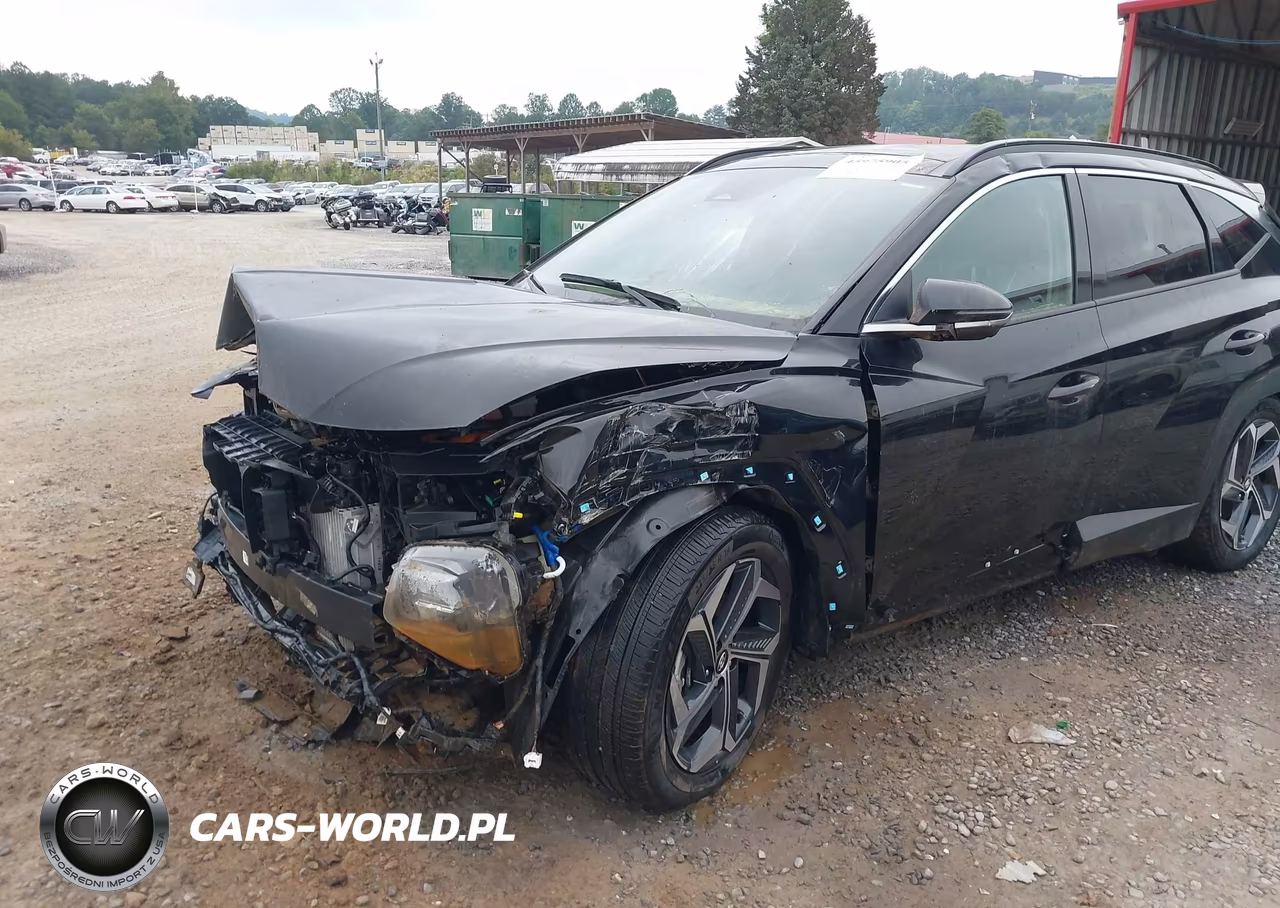 2024 Hyundai Tucson Hybrid Limited VIN:KM8JECD16RU214356 - 6