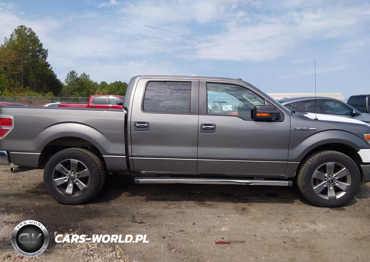 2014 Ford F-150 Xlt VIN:1FTFW1CF3EKD99688 - 13