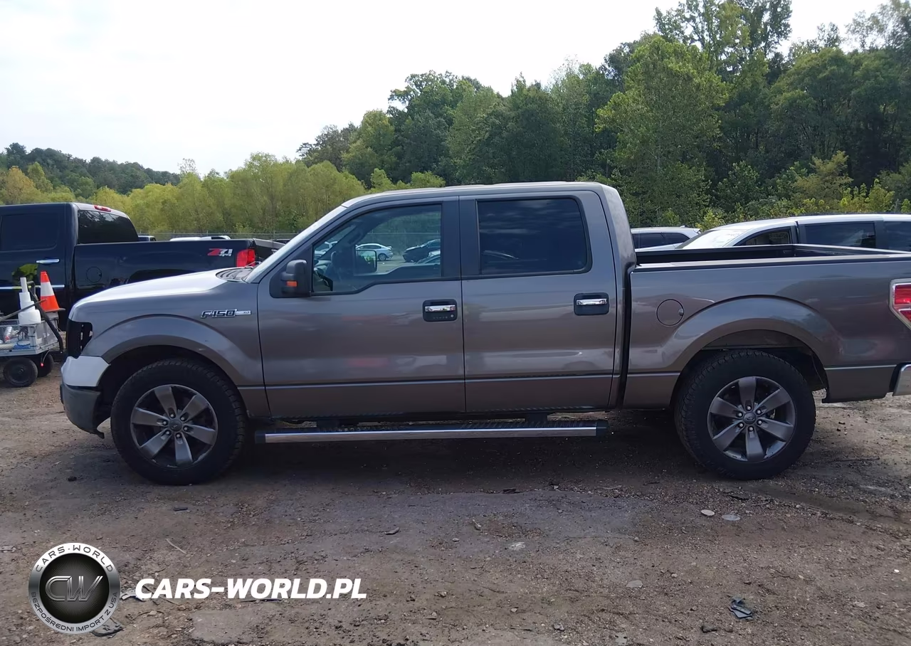 2014 Ford F-150 Xlt VIN:1FTFW1CF3EKD99688 - 14