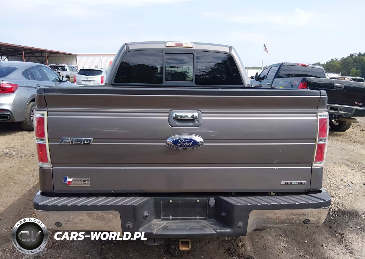 2014 Ford F-150 Xlt VIN:1FTFW1CF3EKD99688 - 16