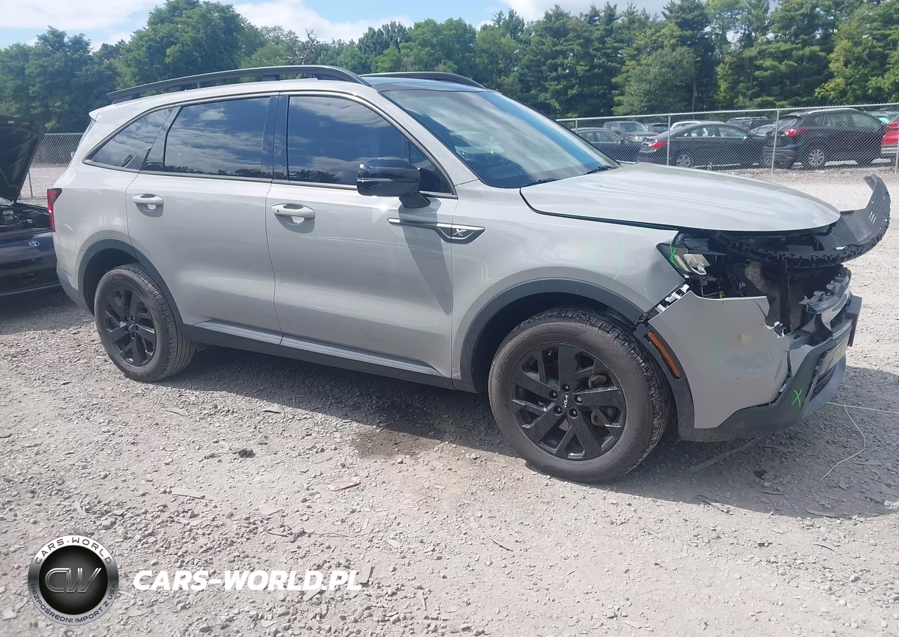 2023 Kia Sorento X-Line S VIN:5XYRLDLC3PG181207 - 1