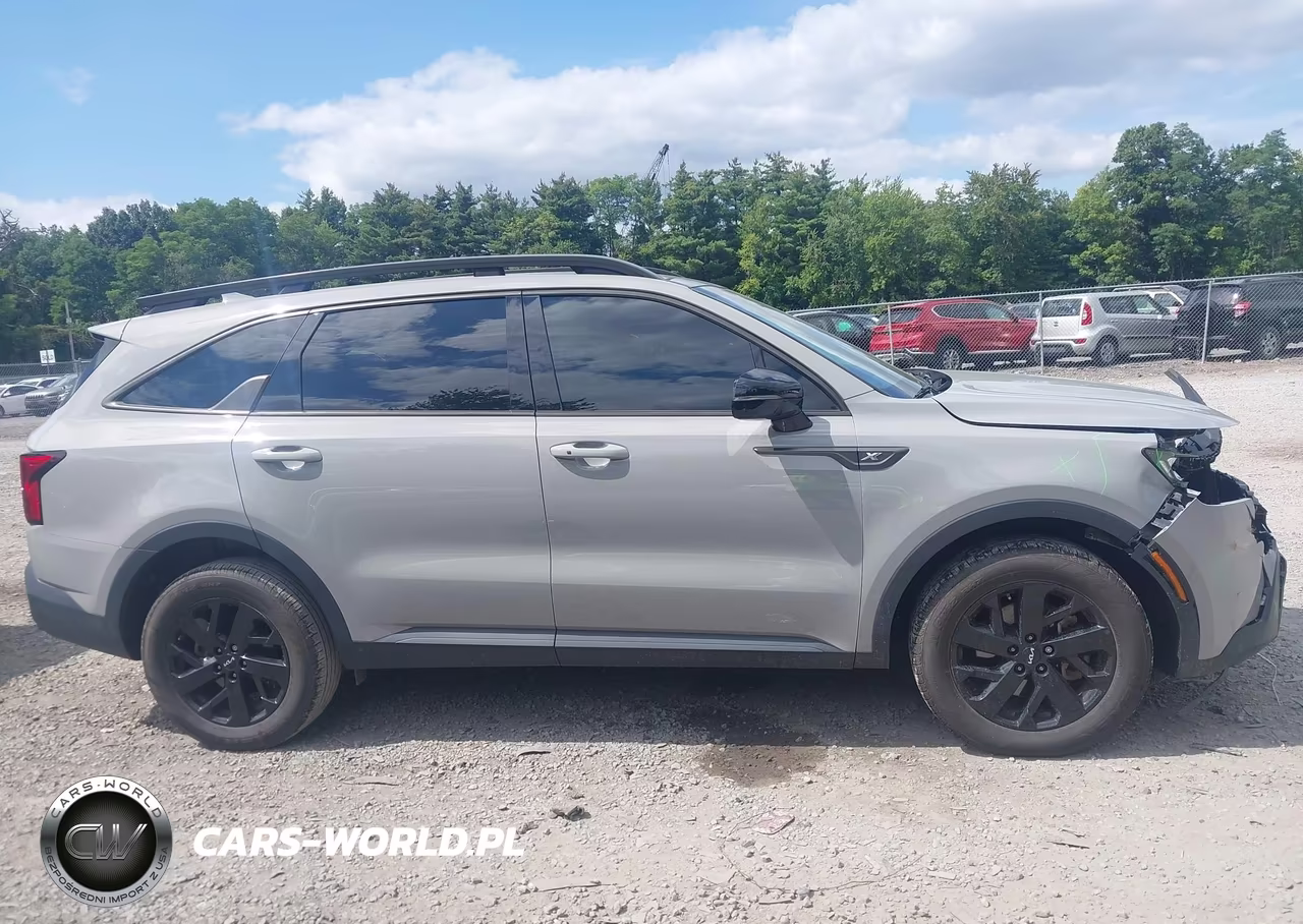 2023 Kia Sorento X-Line S VIN:5XYRLDLC3PG181207 - 13