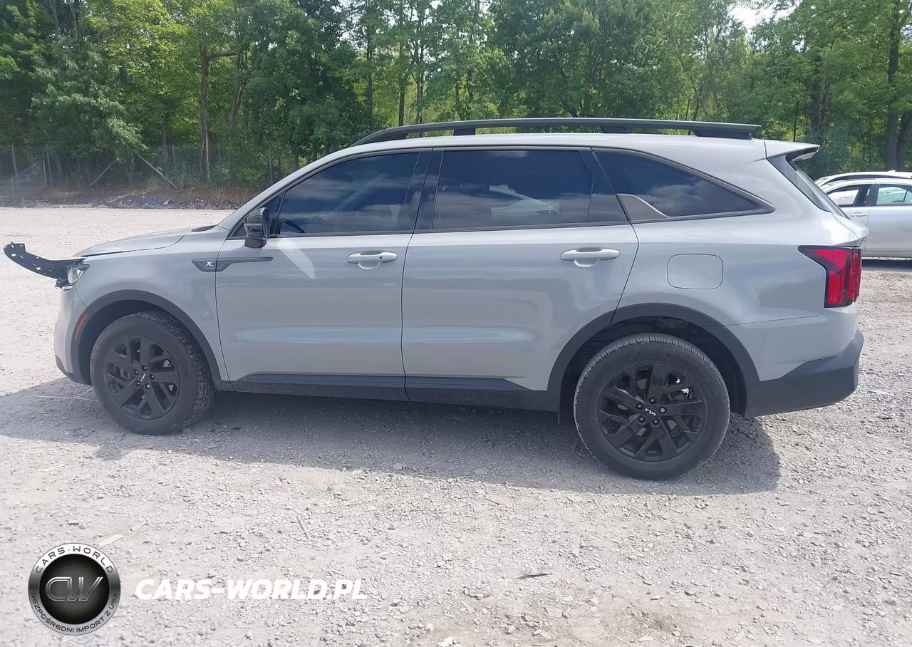 2023 Kia Sorento X-Line S VIN:5XYRLDLC3PG181207 - 14