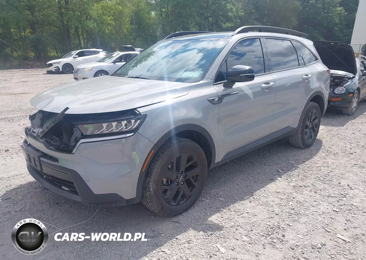 2023 Kia Sorento X-Line S VIN:5XYRLDLC3PG181207 - 2