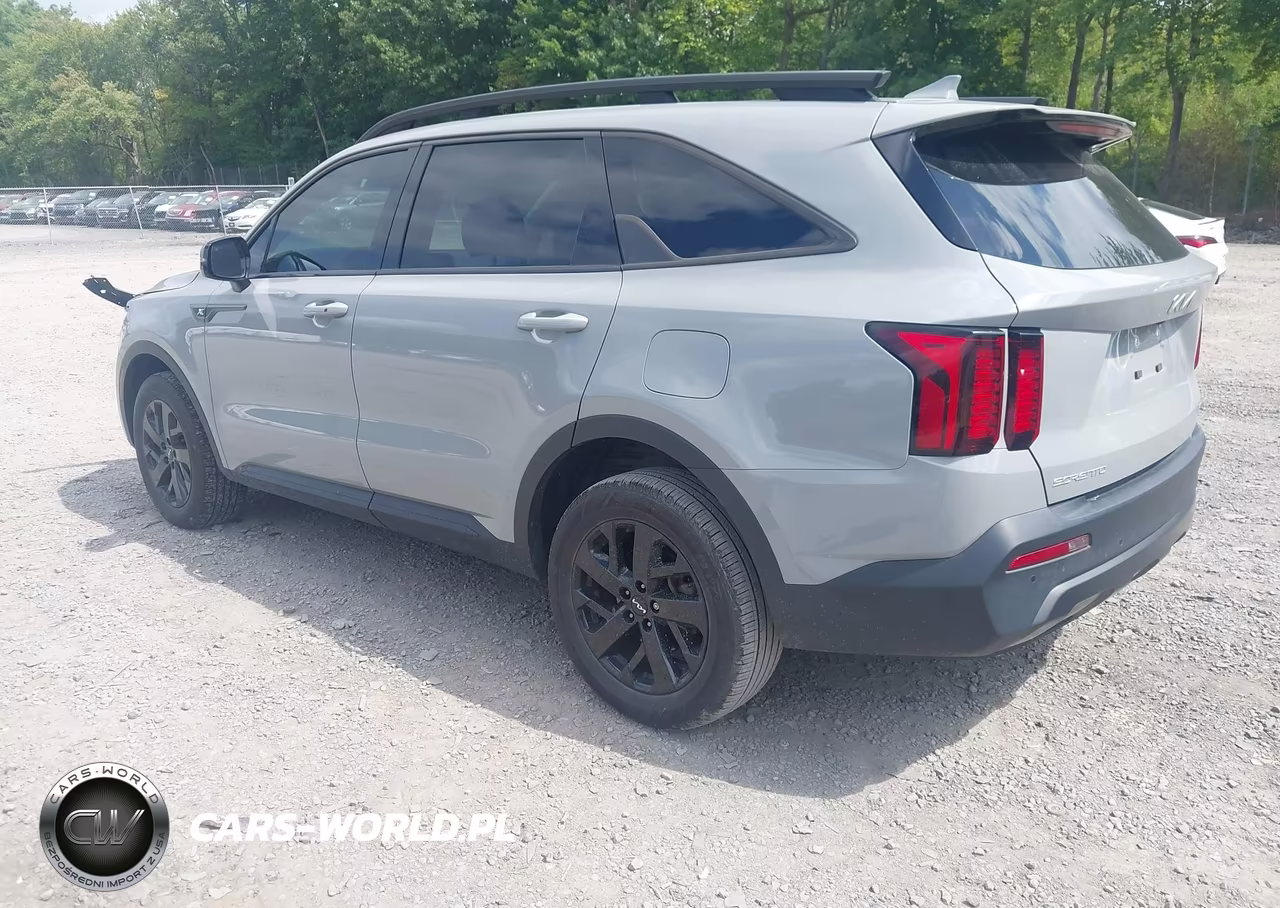 2023 Kia Sorento X-Line S VIN:5XYRLDLC3PG181207 - 3