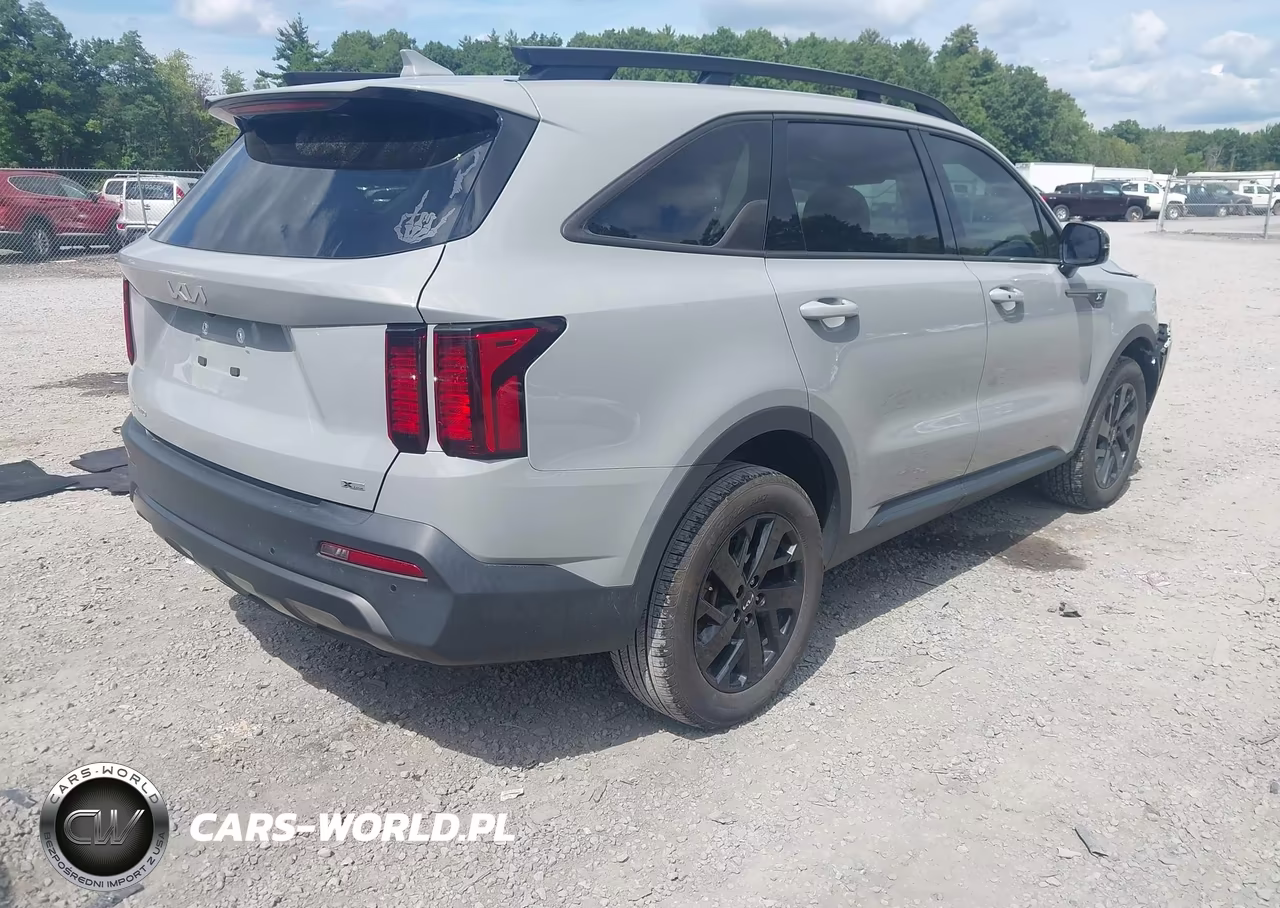 2023 Kia Sorento X-Line S VIN:5XYRLDLC3PG181207 - 4