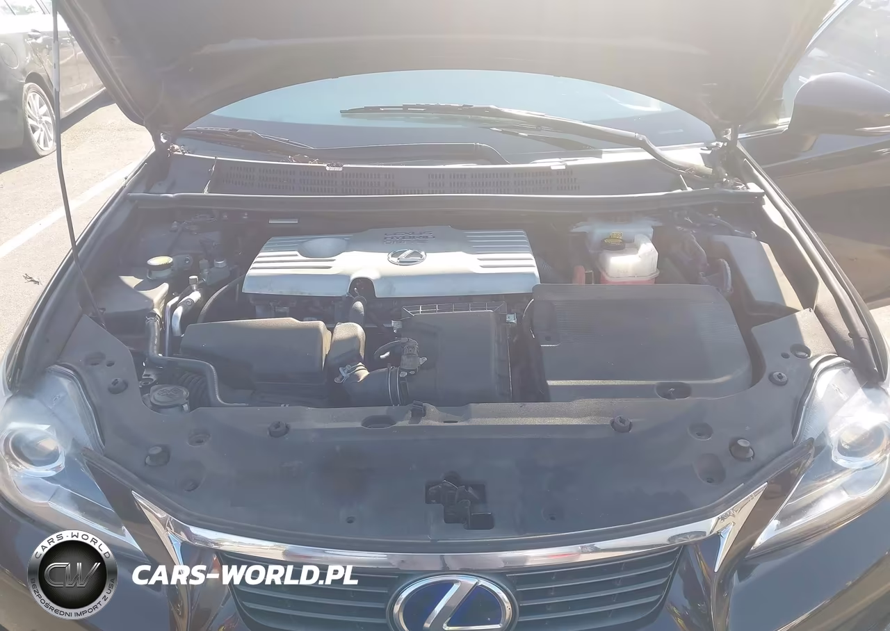 2013 Lexus Ct 200H VIN:JTHKD5BHXD2142748 - 10