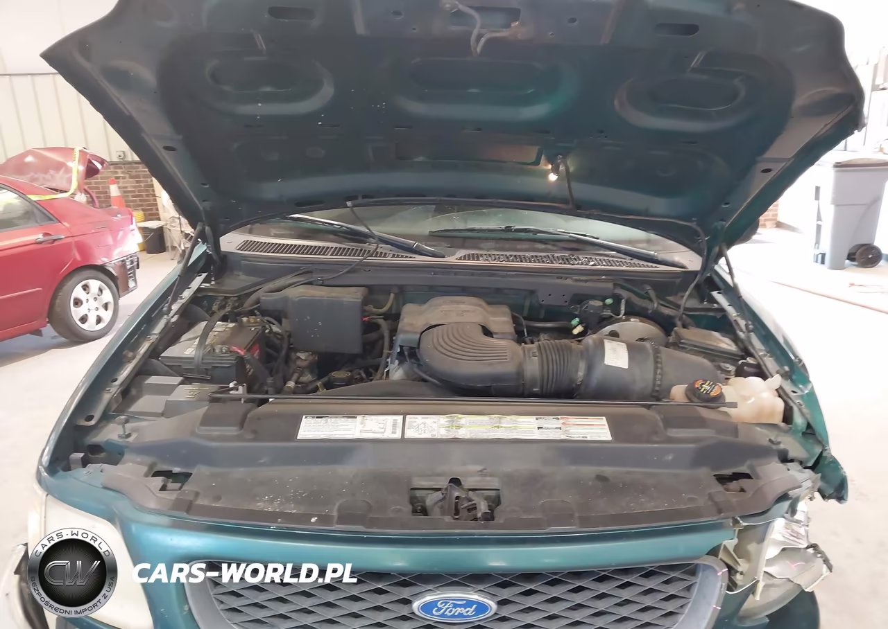 1997 Ford F-150 Lariat-Xl-Xlt VIN:1FTDX18W4VND10660 - 10