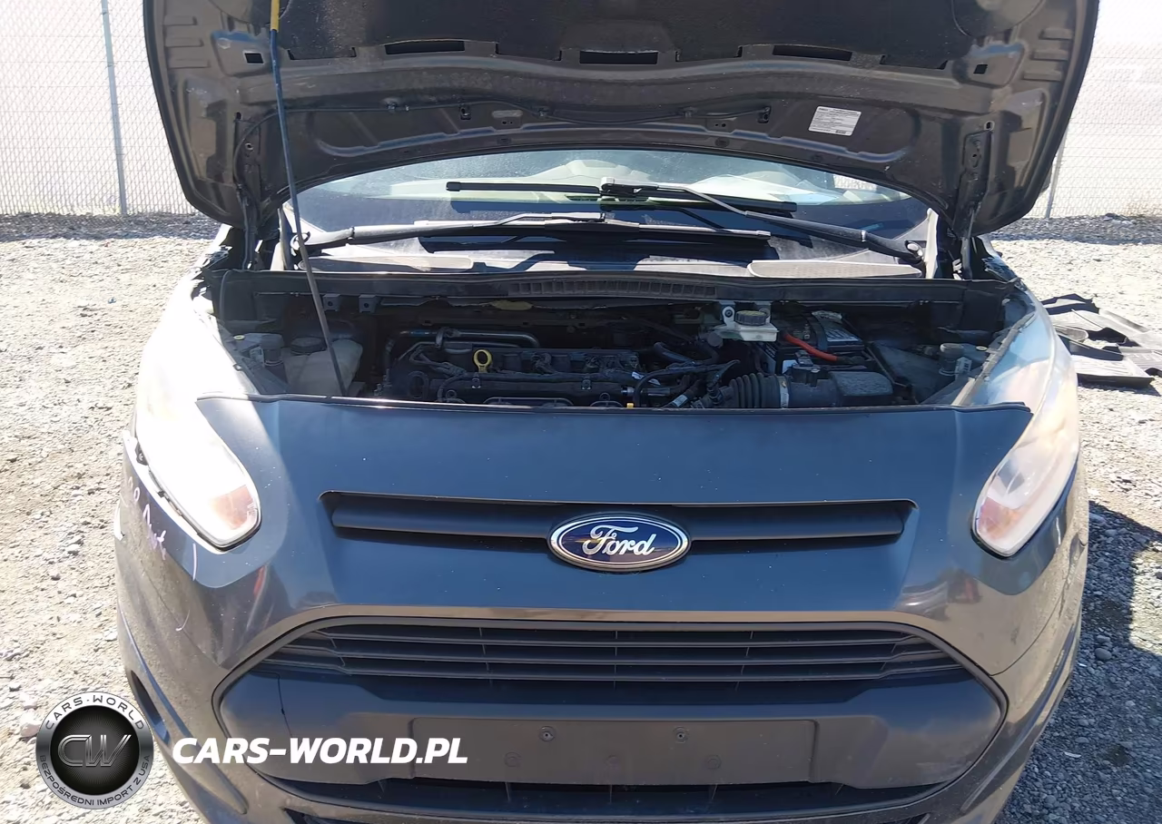 2016 Ford Transit Connect Xlt VIN:NM0GS9F79G1242210 - 10