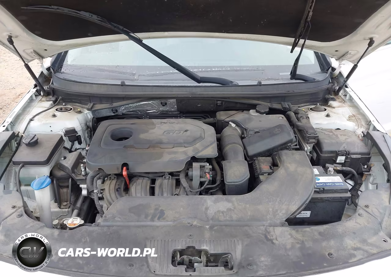 2016 Hyundai Sonata Se VIN:5NPE24AF8GH282069 - 10