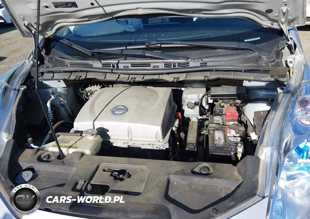 2014 Nissan Leaf S VIN:1N4AZ0CP3EC332674 - 10