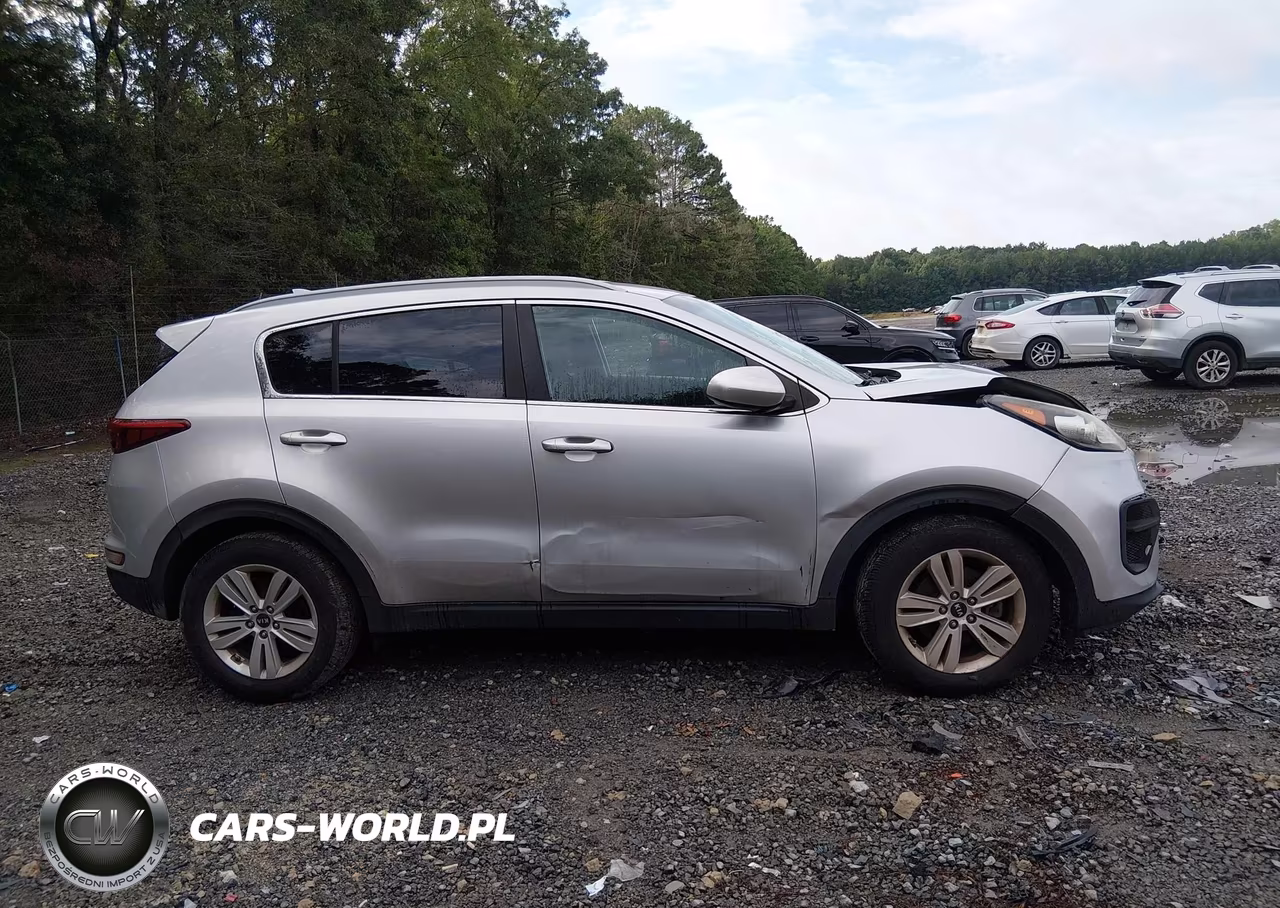 2017 Kia Sportage Lx VIN:KNDPM3ACXH7074252 - 13