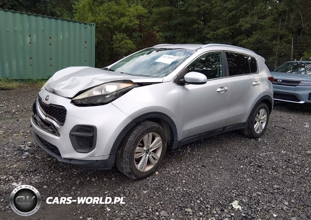 2017 Kia Sportage Lx VIN:KNDPM3ACXH7074252 - 2