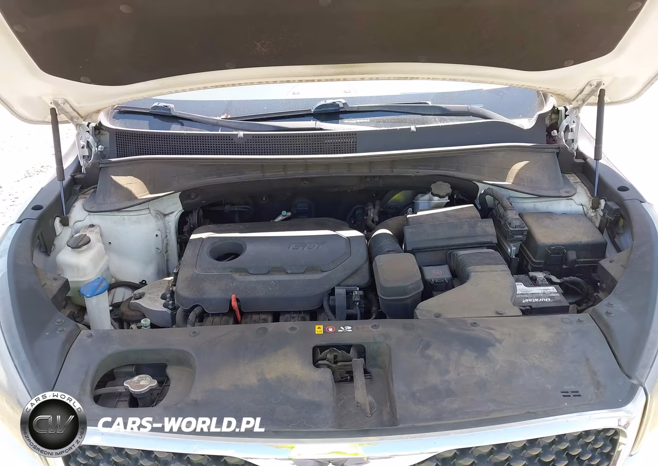 2016 Kia Sorento 2.4L Lx VIN:5XYPG4A3XGG045798 - 10