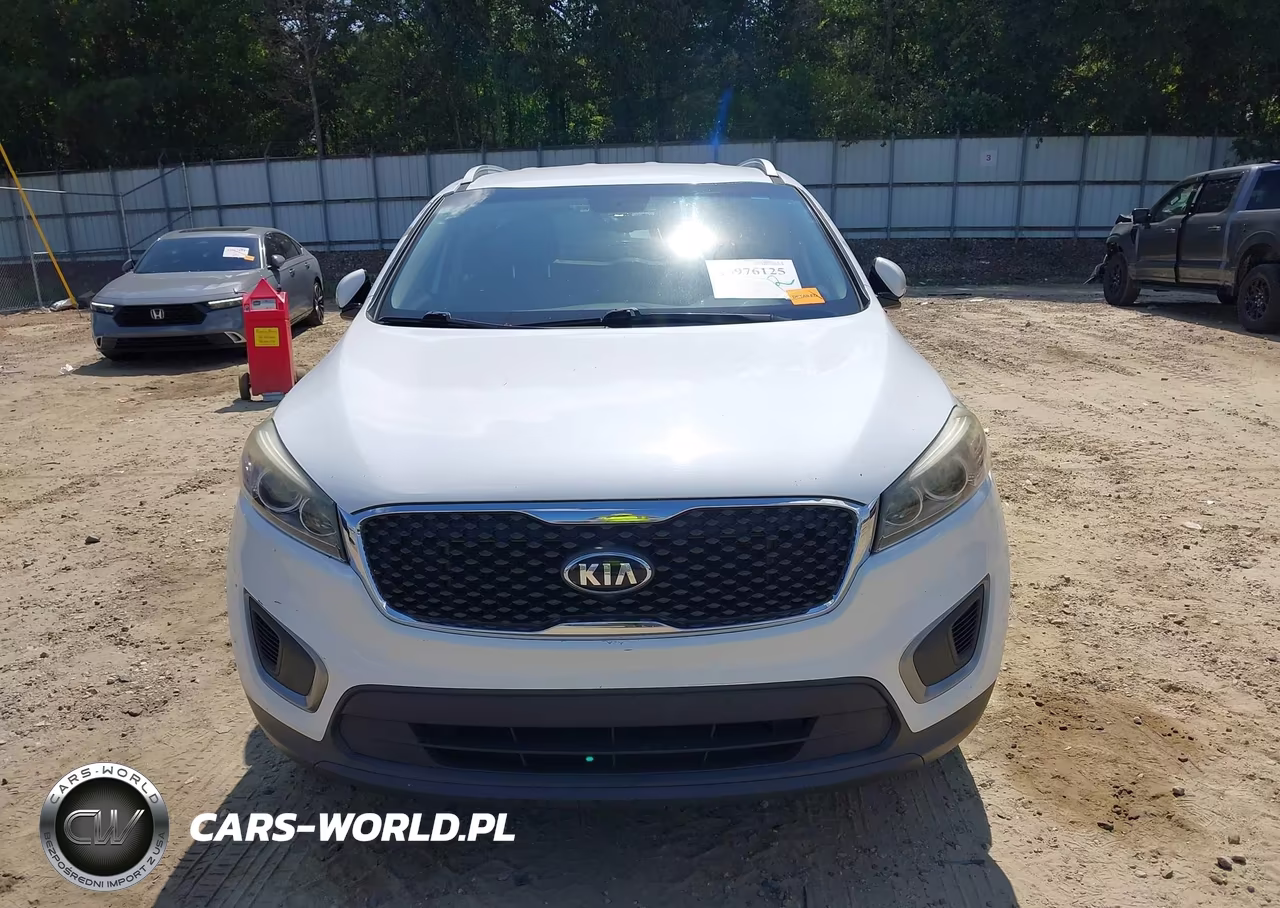 2016 Kia Sorento 2.4L Lx VIN:5XYPG4A3XGG045798 - 12