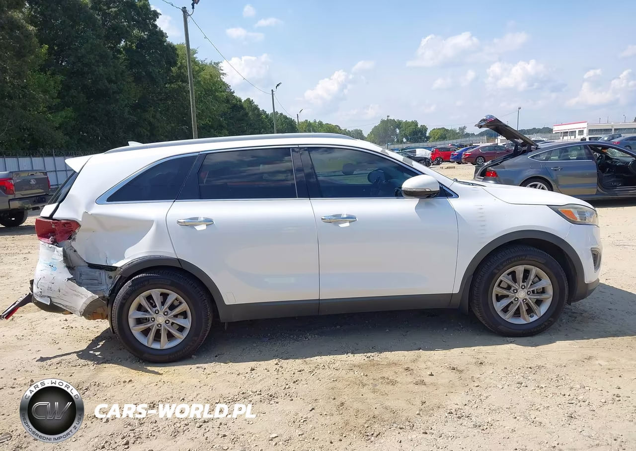 2016 Kia Sorento 2.4L Lx VIN:5XYPG4A3XGG045798 - 13