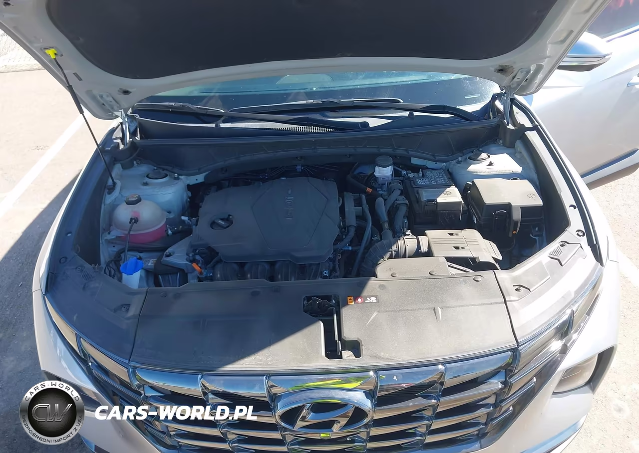2024 Hyundai Tucson Limited VIN:5NMJECDE2RH308359 - 10