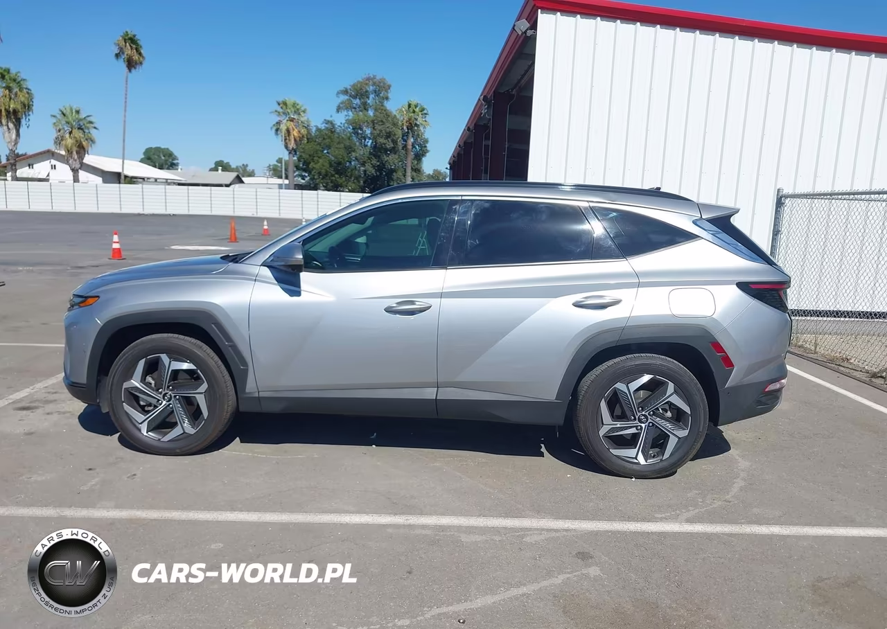 2024 Hyundai Tucson Limited VIN:5NMJECDE2RH308359 - 14