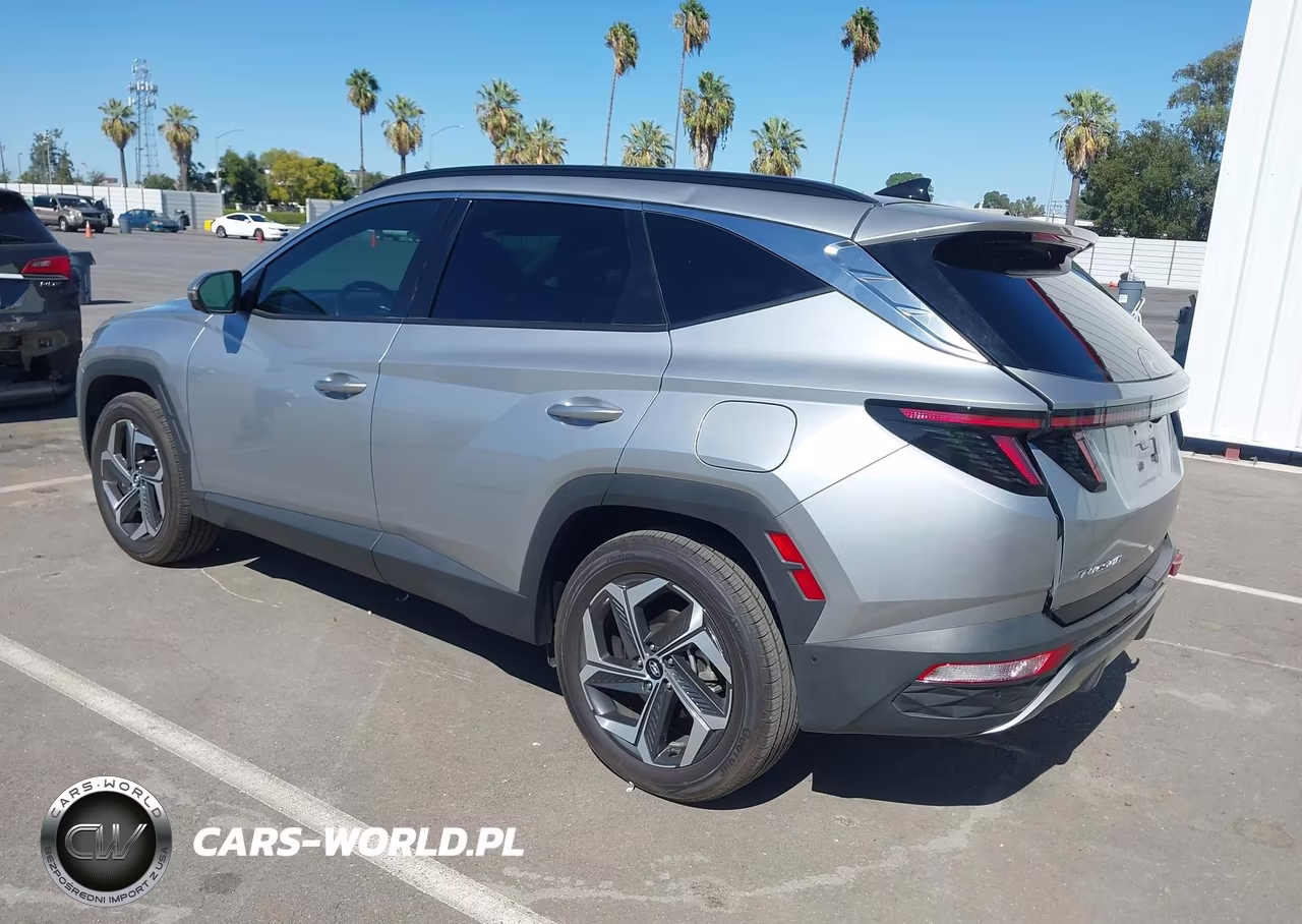 2024 Hyundai Tucson Limited VIN:5NMJECDE2RH308359 - 3
