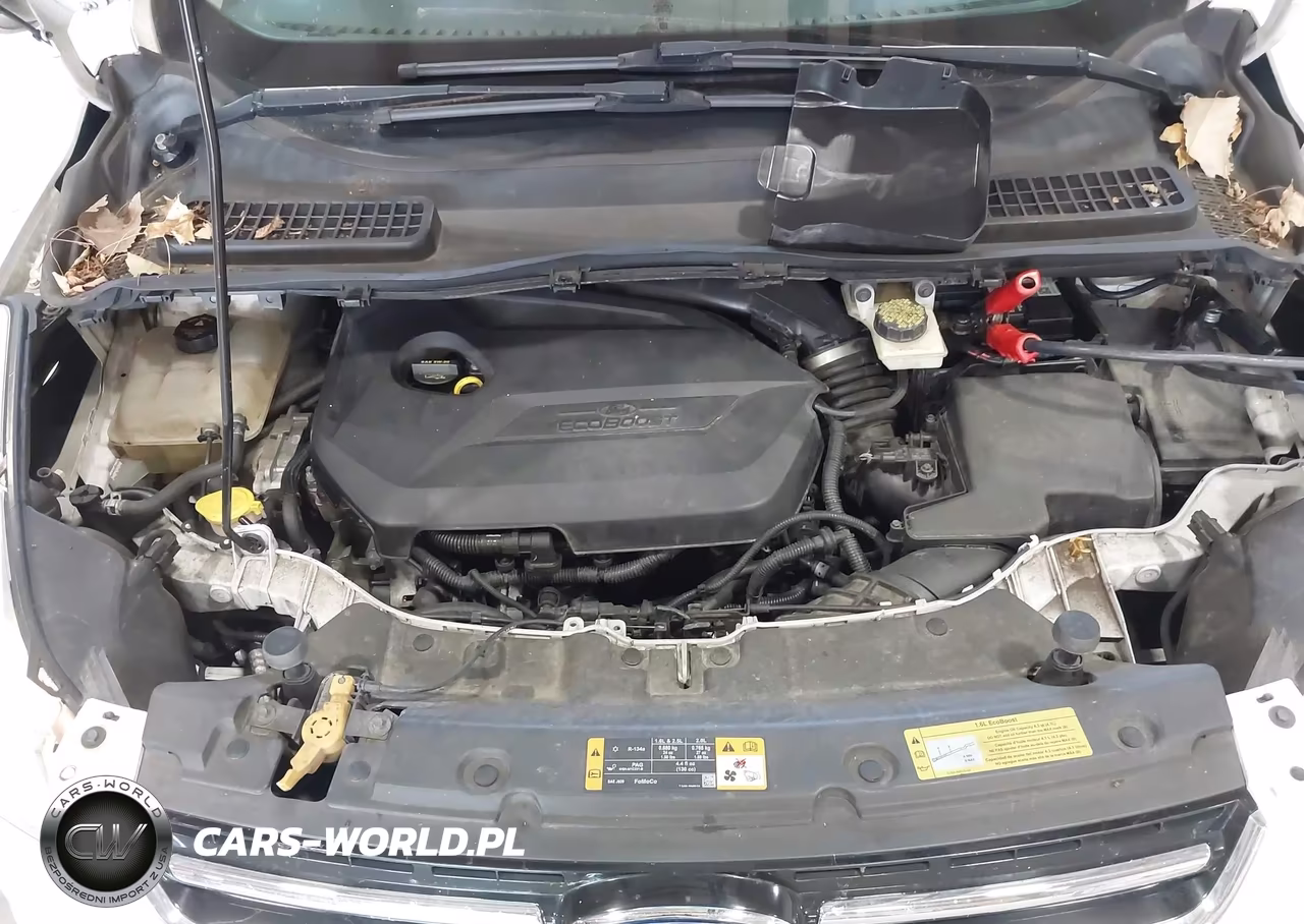 2013 Ford Escape Sel VIN:1FMCU9HX4DUB76776 - 10