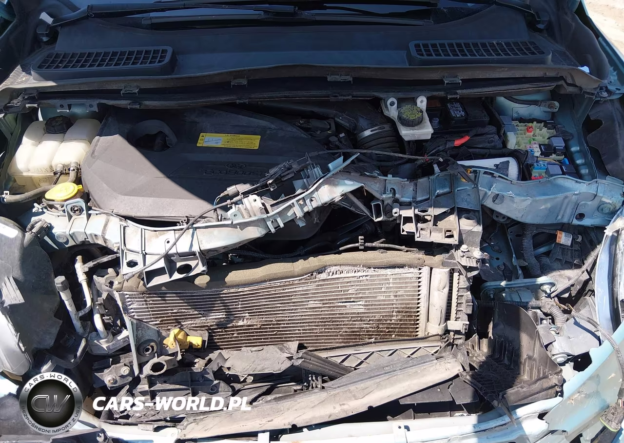 2013 Ford Escape Sel VIN:1FMCU9HX8DUC68599 - 10