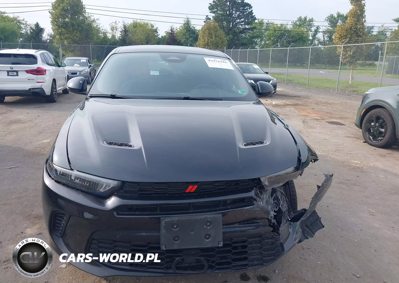2024 Dodge Hornet Gt Awd VIN:ZACNDFAN4R3A41480 - 12