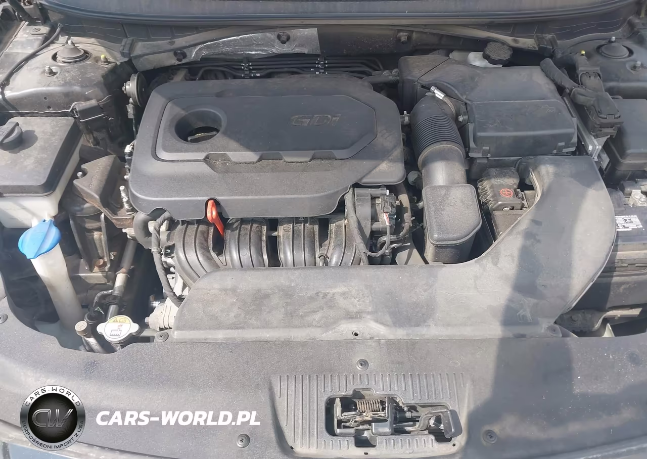 2015 Hyundai Sonata Se VIN:5NPE24AF4FH217119 - 10