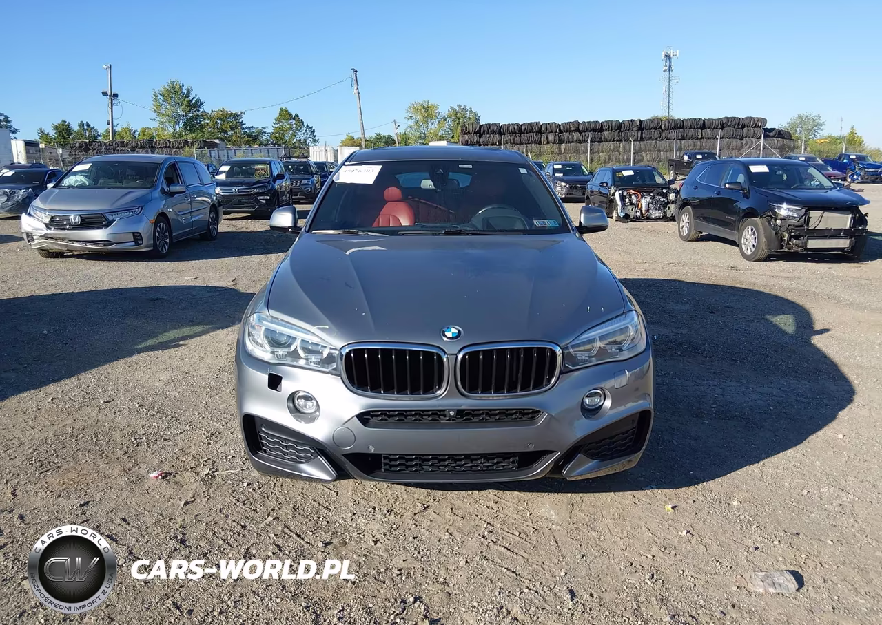 2016 BMW X6 xDrive35I VIN:5UXKU2C57G0N81697 - 12